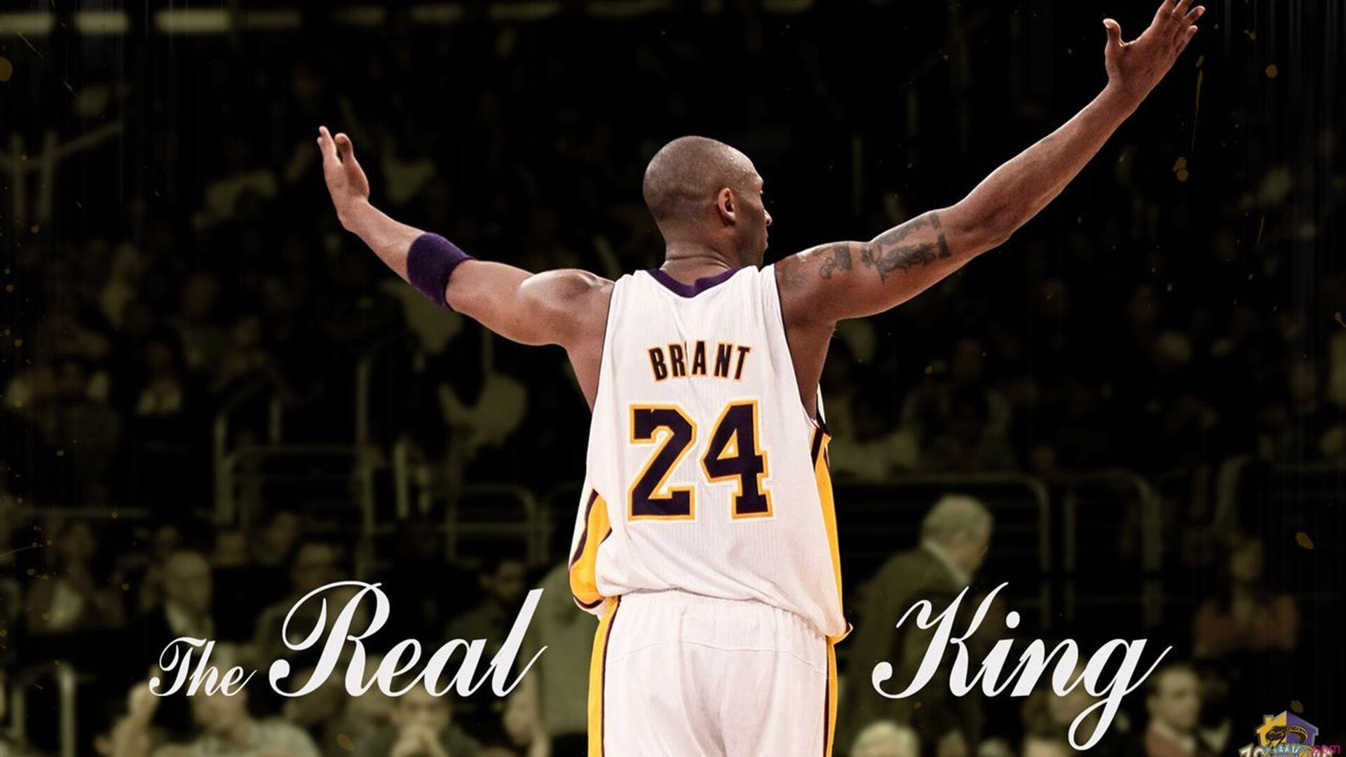 AG粉丝庆典活动引爆全网影响力持续扩大，ag粉丝为什么这么多